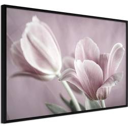 Arkiio Affisch Pink Tulips [Poster] 60x40 Poster